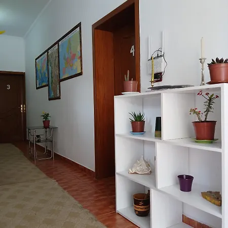 Oasis 3* Berat